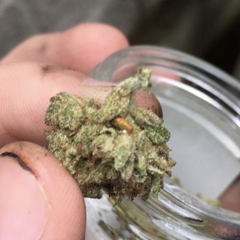 Nectar - Barbur - Caterpillar? yummy! - Cannabis Clinics Near Me - Portland, Oregon Nectar - Barbur - Caterpillar? yummy! - Cannabis Clinics Near Me - Portland, Oregon