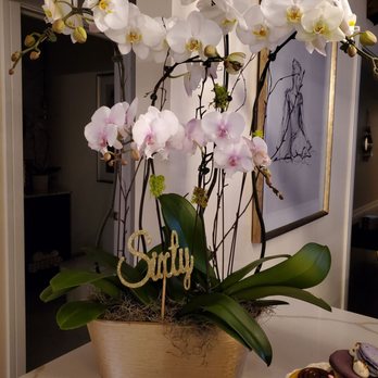 Orchids By Hausermann - Nurseries & Gardening Near Me - Villa Park, Illinois