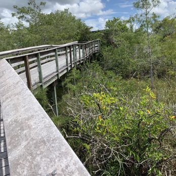 Everglades National Park - 07.19.19 Pa-Hay-Okee Trail - Parks Near Me - Homestead, Florida Everglades National Park - 07.19.19 Pa-Hay-Okee Trail - Parks Near Me - Homestead, Florida