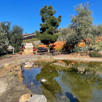 Waterwise Botanicals - Water garden botanicals.. they have a great selection of plants it's a cute place you can take pictures - Nurseries & Gardening Near Me - Bonsall, California