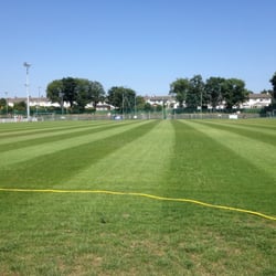Home Farm Football Club - The main pitch