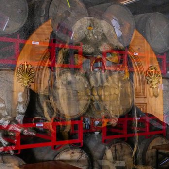 Brash Brewing - a reflection of a bear in a window - Breweries Near Me - Houston, Texas