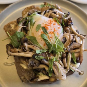Scorpio Coffee - Mushroom toast - Coffee & Tea Near Me - Sacramento, California Scorpio Coffee - Mushroom toast - Coffee & Tea Near Me - Sacramento, California