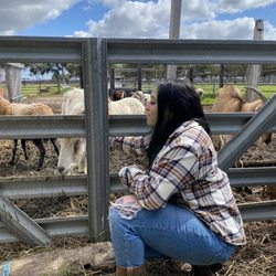 Adventures with Animals