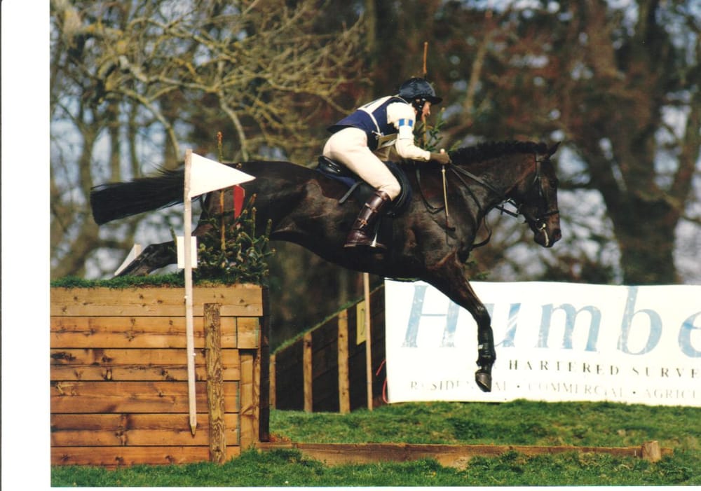 EQPIX Horseback Riding Penzance, Cornwall, United Kingdom Phone