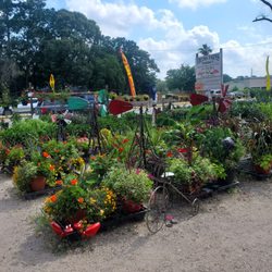 Theiss Farm Market - They have a wide variety of plants.