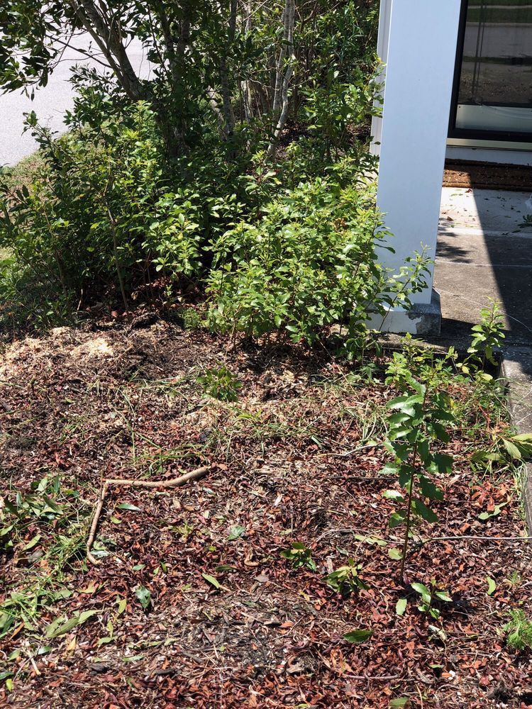 BAKERS TREE SERVICE 47 Photos Savannah, Tree Services