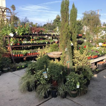 Green Gardens Nursery - Nurseries & Gardening Near Me - San Diego, California Green Gardens Nursery - Nurseries & Gardening Near Me - San Diego, California