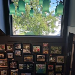 Squirrel Gallery
