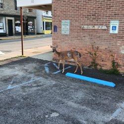 The Rhinecliff Taxi