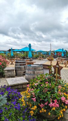 Fox Hollow Vineyards by null