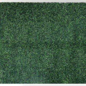 Jammin Wizard - Green Shrub Wall Backdrop - DJs Near Me Jammin Wizard - Green Shrub Wall Backdrop - DJs Near Me