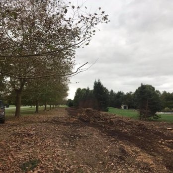 Tree - Emergency Tree Service Middletown, DE - Tree Services Near Me - Middletown, Delaware Tree - Emergency Tree Service Middletown, DE - Tree Services Near Me - Middletown, Delaware