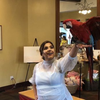 Happy Birds - Party & Event Planning Near Me