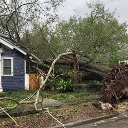Stout Tree Service - Storm Damage Quotes