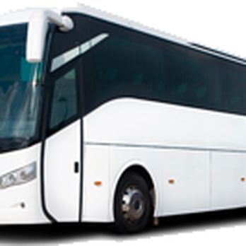 United Bus Charter - Buses Near Me United Bus Charter - Buses Near Me