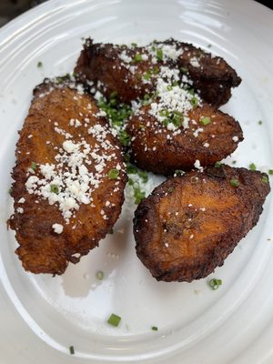 Iguana On Park by null