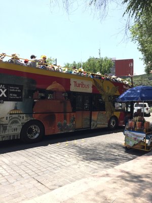 Fuente de Cibeles by null