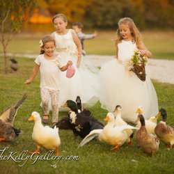 The Kelly Gallery - Our ducks who live around the pond love guests!