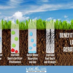Local Turf Pros - Aeration & Overseeding Benefits