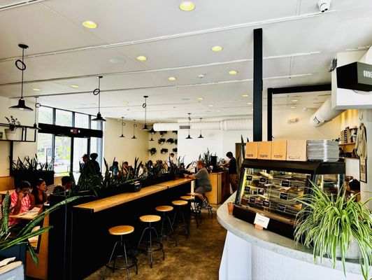 Black Bean Deli-WP by null