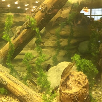 Cabela's - Real fish. - Outdoor Gear Near Me - Lexington, Kentucky