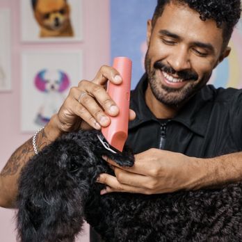 Mimo - La Jolla - Pet Groomers Near Me - San Diego, California Mimo - La Jolla - Pet Groomers Near Me - San Diego, California