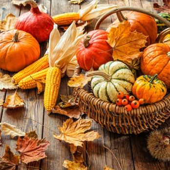 World's Attic Thrift Shop - Fall Decor - Thrift Stores Near Me - Sarasota, Florida World's Attic Thrift Shop - Fall Decor - Thrift Stores Near Me - Sarasota, Florida