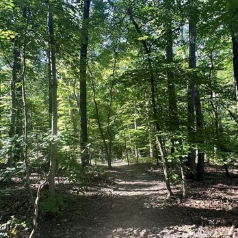 Scott's Run Nature Preserve - Parks Near Me - McLean, Virginia