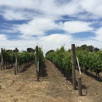 Saintsbury - Wineries Near Me - Napa, California Saintsbury - Wineries Near Me - Napa, California