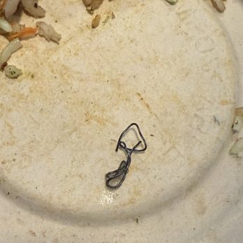 Vale Healthy Kitchen - Metal item in food - Acai Bowls Near Me - Miami, Florida Vale Healthy Kitchen - Metal item in food - Acai Bowls Near Me - Miami, Florida