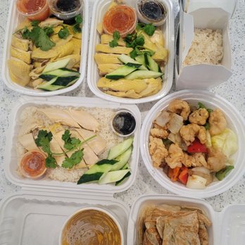 Malay - Hainanese chicken, chicken flavor rice, golden squid and roti canai - Thai Near Me - Morristown, New Jersey