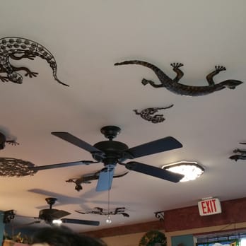 Birdcage Coffee House - Be sure to look up. - Coffee & Tea Near Me - Long Beach, California