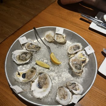 Lento Restaurant - Oysters - New American Near Me - Rochester, New York