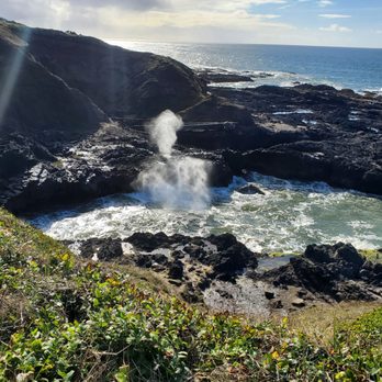 Cape Perpetua Scenic Area - Hiking Near Me - Yachats, Oregon Cape Perpetua Scenic Area - Hiking Near Me - Yachats, Oregon