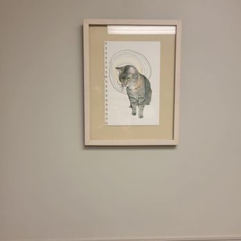 Sunset Animal Clinic - Cat room photos - Veterinarians Near Me - Miami, Florida Sunset Animal Clinic - Cat room photos - Veterinarians Near Me - Miami, Florida