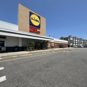 Lidl - No carts hiding here either....notice the unwatered plants and empty racks - Grocery Near Me - East Rockaway, New York