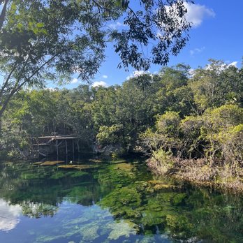 Local Quickies - Cenote that we had all to ourselves - Boat Charters Near Me Local Quickies - Cenote that we had all to ourselves - Boat Charters Near Me