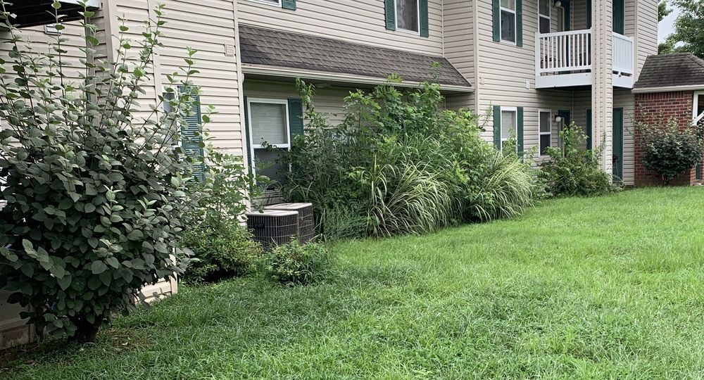 ARBORS AT EASTLAND APARTMENTS 15 Photos 6649 Old Boonville Hwy