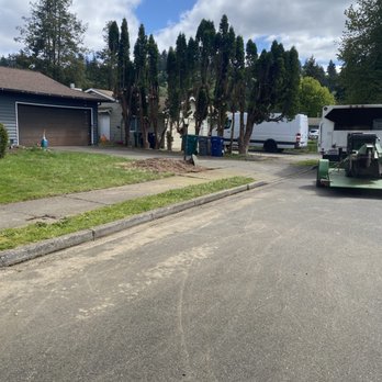 Bid Low Tree & Stump Service - Tree Services Near Me - Yelm, Washington