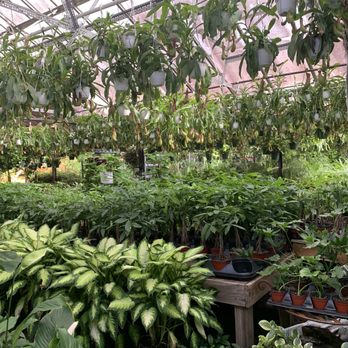 Dragonfly Farms - Nurseries & Gardening Near Me - Hamilton, New Jersey