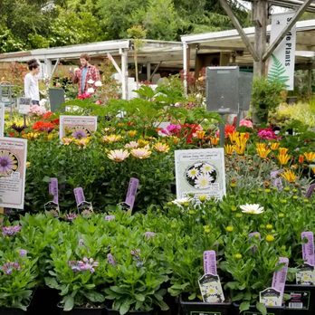 Sloat Garden Center - Nurseries & Gardening Near Me - Kentfield, California