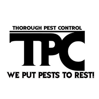 Thorough Pest Control 1 - Pest Control Near Me - Brooklyn, New York