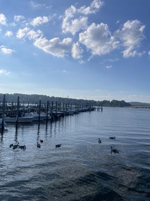 Barnacle Bill's by null