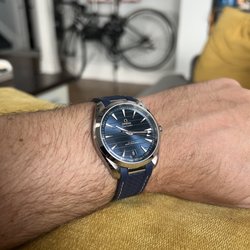 Omega Aqua Terra 220.12.41.21.03.007