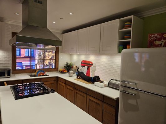 The Secret Life Of Pets: Off The Leash by null