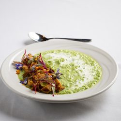 The Rockwell Lake Lodge - Start your meal off with a Spring Pea Soup expertly crafted by our new Chef, Eric Benedict.