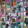 Photo of The Country Groomer & Kennels