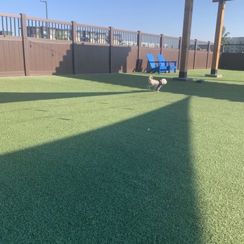 Idaho Pups & Ales - Dog Parks Near Me - Meridian, Idaho