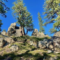 Castle Rock Trailhead